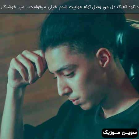 دانلود اهنگ دل من وصل توئه هواییت شدم خیلی میخوامت امیر خوشنگار