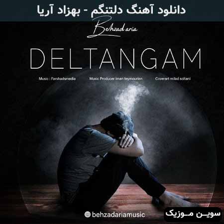 دانلود اهنگ دلتنگم بهزاد آریا