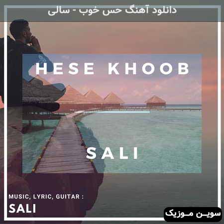 دانلود اهنگ حس خوب سالی