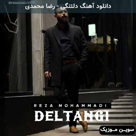 دانلود اهنگ دلتنگی رضا محمدی