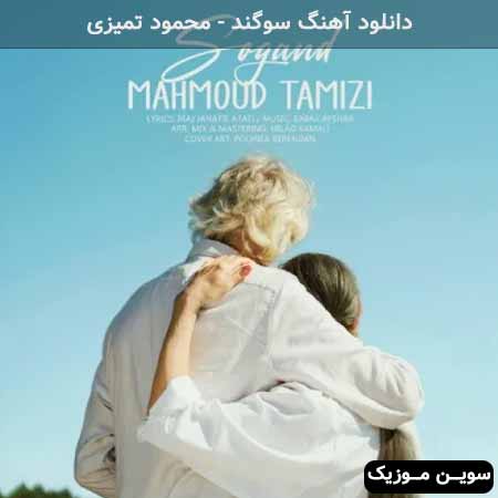 دانلود اهنگ دوست دارم امیر حسنی
