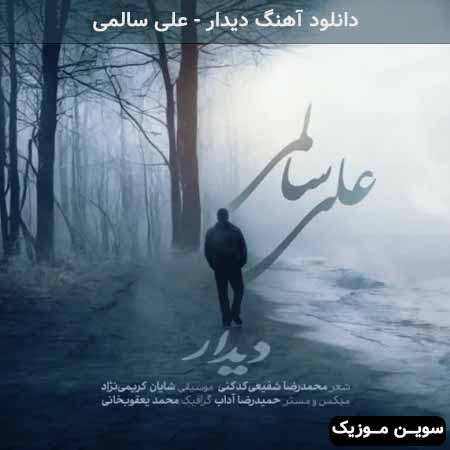 دانلود اهنگ دیدار علی سالمی