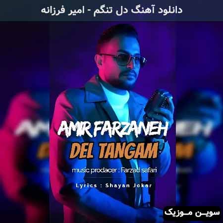 دانلود اهنگ دل تنگم امیر فرزانه