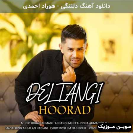 دانلود اهنگ دلتنگی هوراد احمدی