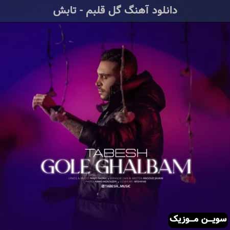 دانلود اهنگ گل قلبم تابش