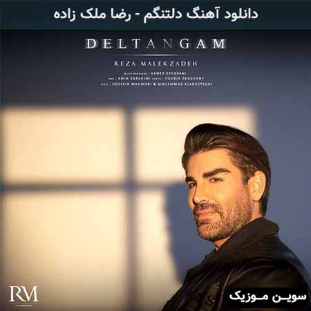 دانلود اهنگ دلتنگم رضا ملک زاده