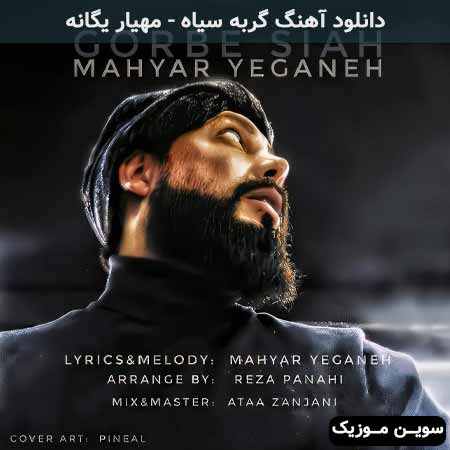 دانلود اهنگ گربه سیاه مهیار یگانه