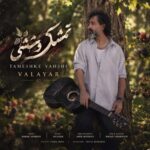 دانلود اهنگ والایار تمشک وحشی